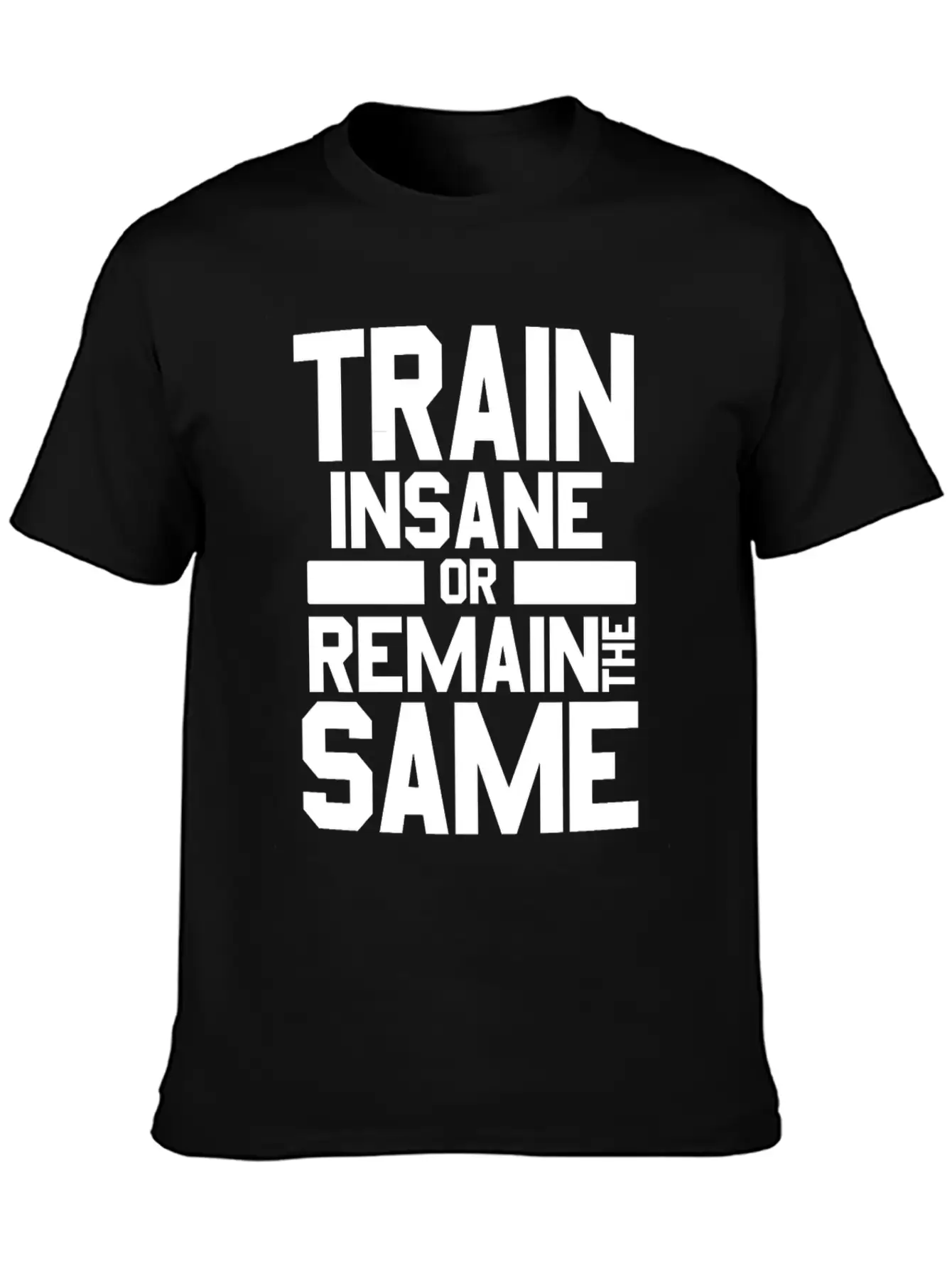 Train Insane Or Remain The Same Bodybuilders Gym Stylish Everyday T-Shirt – Unisex Basic Cotton Tee
