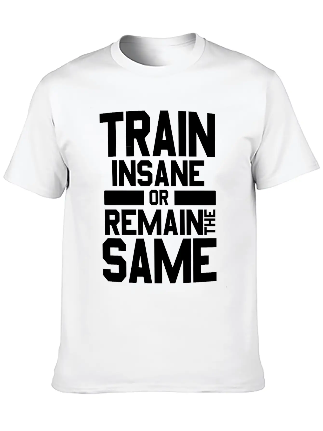 Train Insane Or Remain The Same Bodybuilders Gym Stylish Everyday T-Shirt – Unisex Basic Cotton Tee