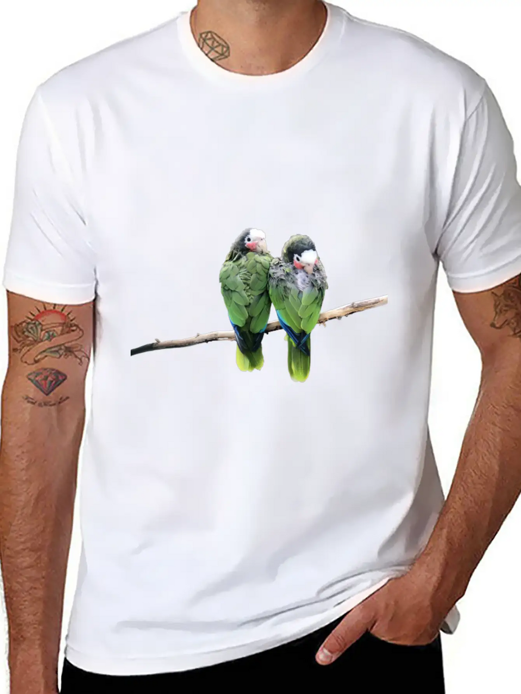 Two Birds Modern Fit Casual T-Shirt – Clean And Versatile Design