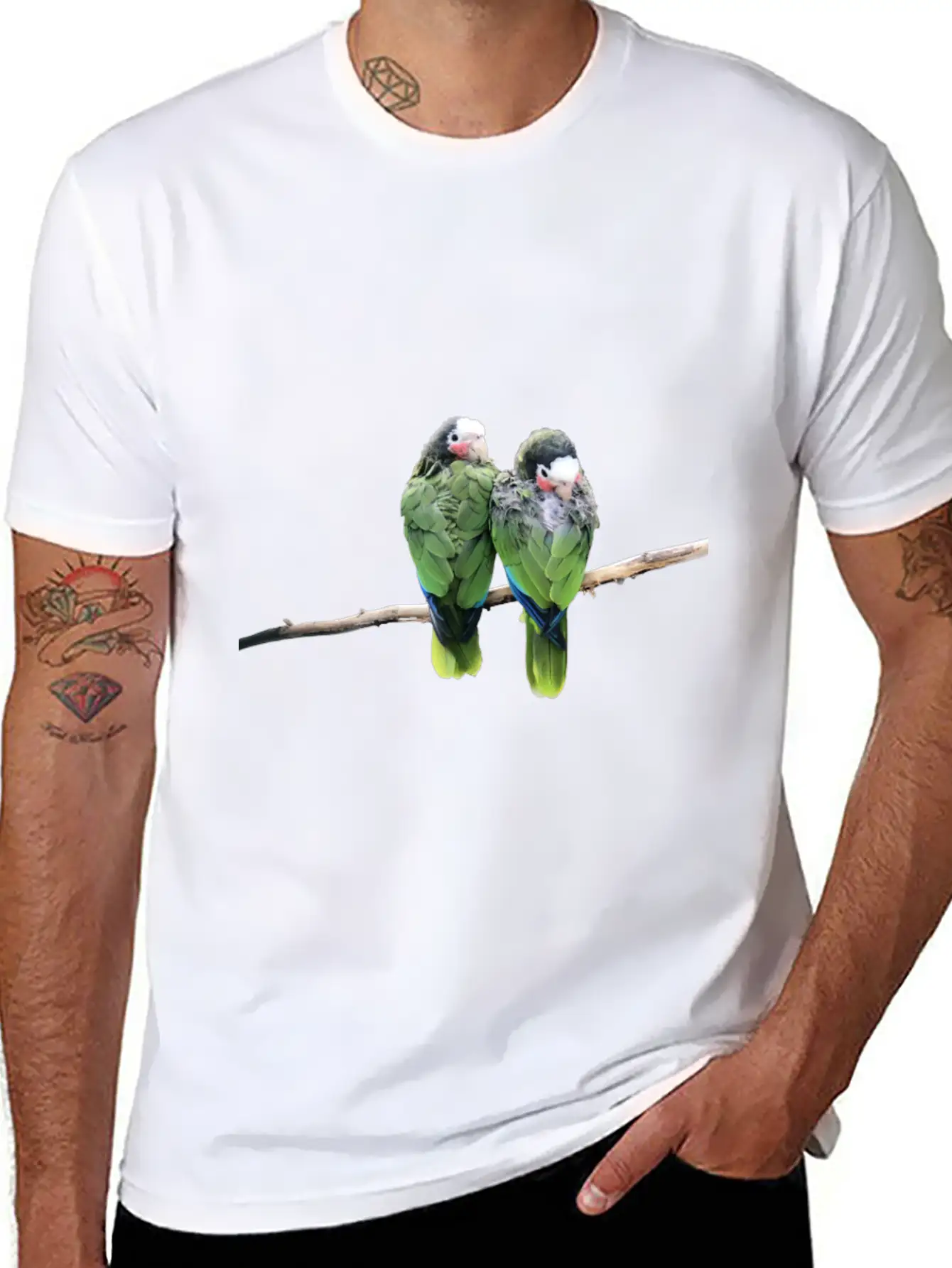 Two Birds Modern Fit Casual T-Shirt – Clean And Versatile Design