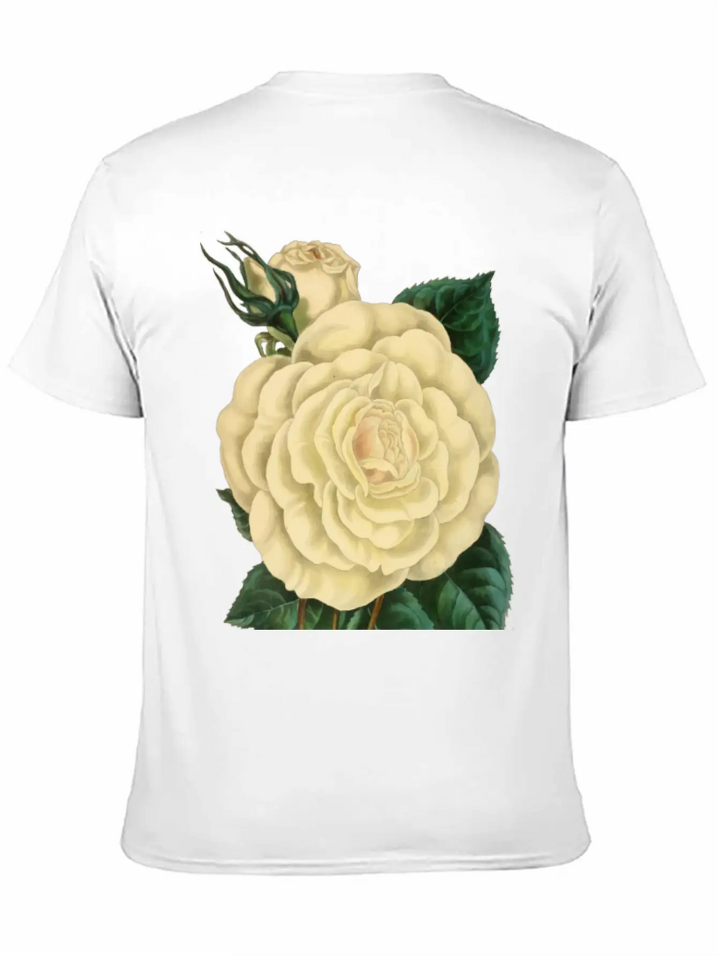 Vintage Rose Illustration Essential Cotton Tee For Daily Outfits – Unisex Style
