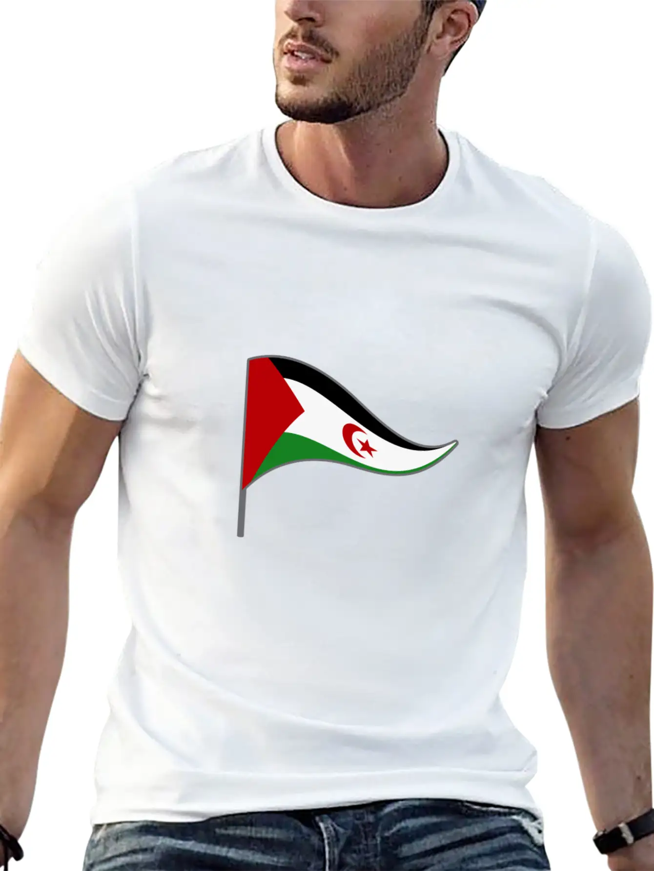 Western Sahara Flag Banner Flags Ensigns Africa Basic Graphic T-Shirt – Daily Comfort In Soft Cotton