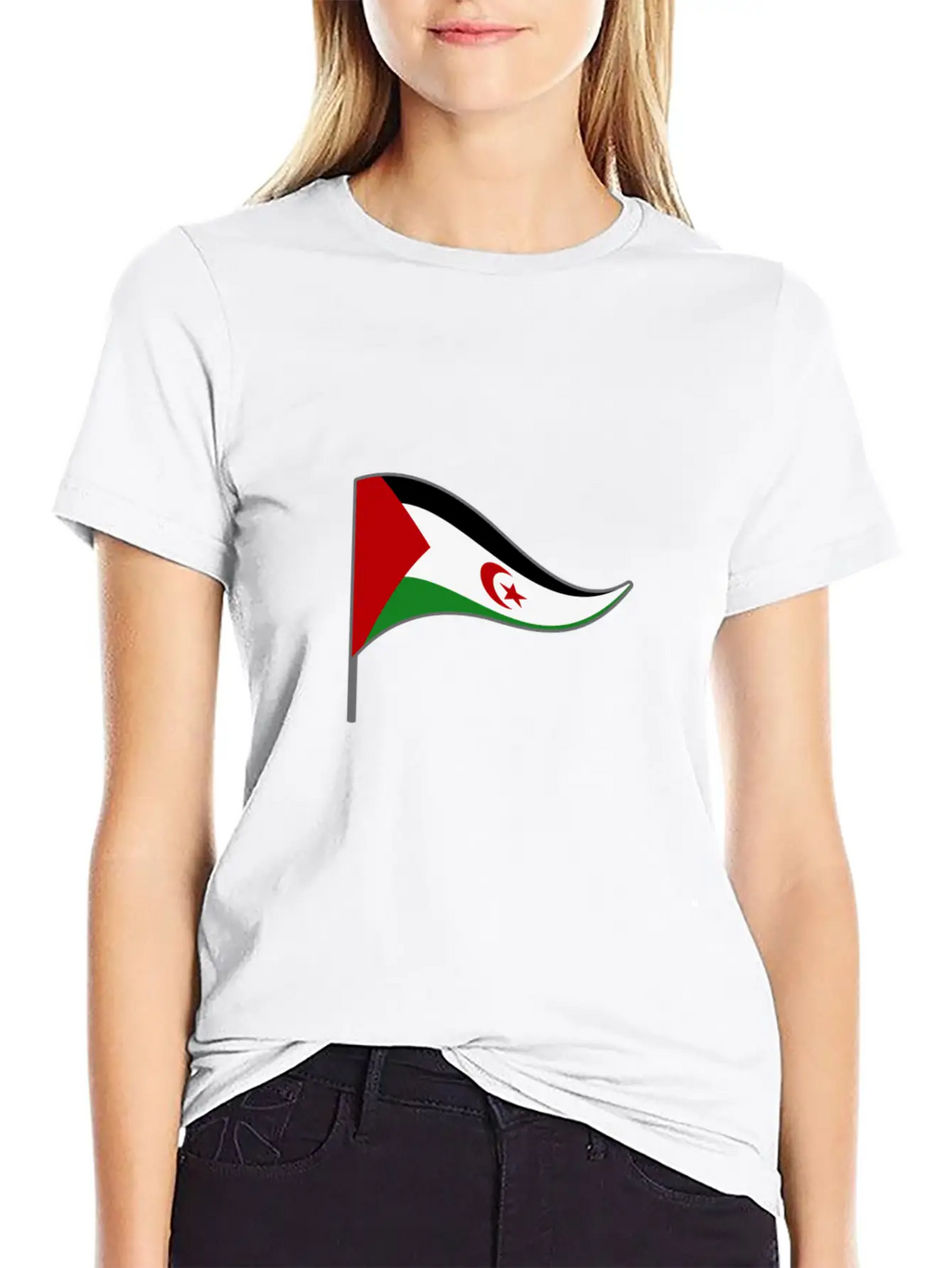 Western Sahara Flag Banner Flags Ensigns Africa Basic Graphic T-Shirt – Daily Comfort In Soft Cotton