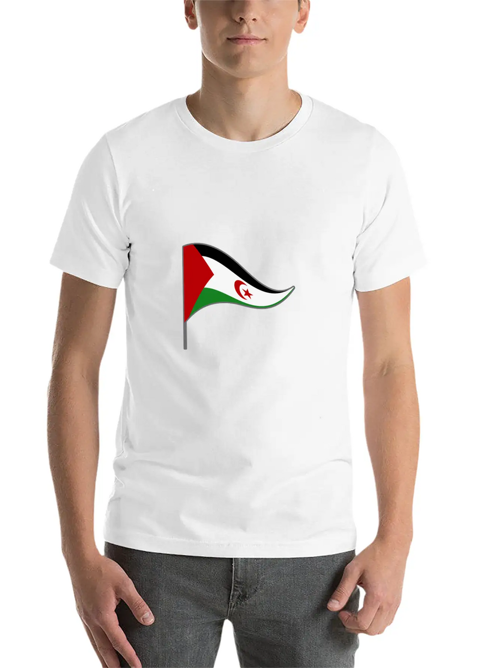 Western Sahara Flag Banner Flags Ensigns Africa Basic Graphic T-Shirt – Daily Comfort In Soft Cotton