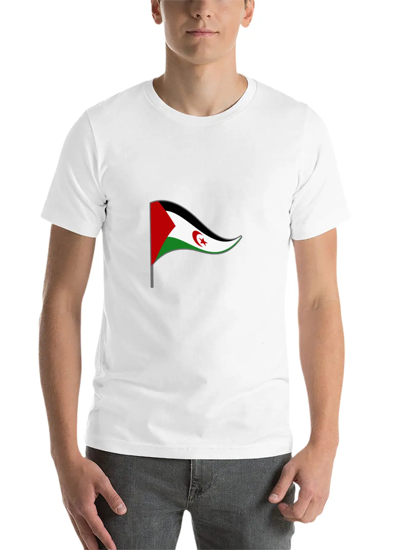 Western Sahara Flag Banner Flags Ensigns Africa Basic Graphic T-Shirt – Daily Comfort In Soft Cotton