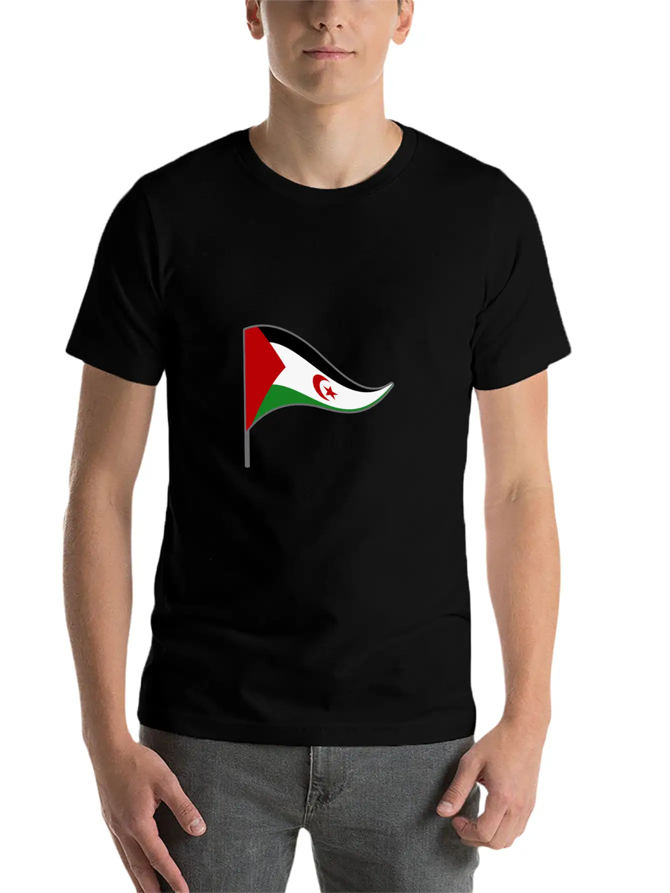 Western Sahara Flag Banner Flags Ensigns Africa Basic Graphic T-Shirt – Daily Comfort In Soft Cotton